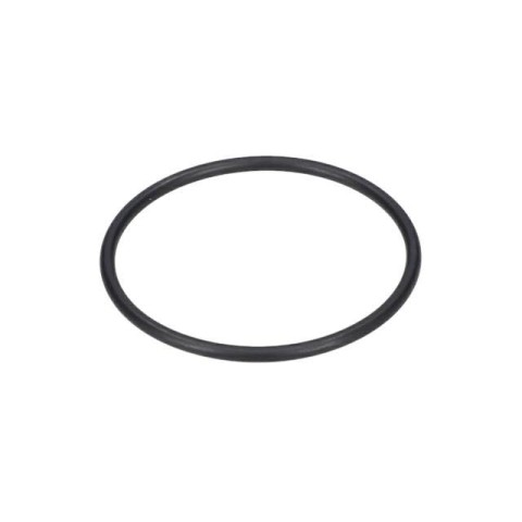 Bosch O-Ring — GBH 8/65 DCE (1 600 210 004)