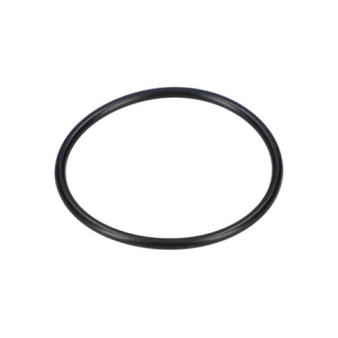 Bosch O-Ring — GCO 2000 (1 609 B00 061) Bosch O-Ring — GCO 2000 (1 609 B00 061)
