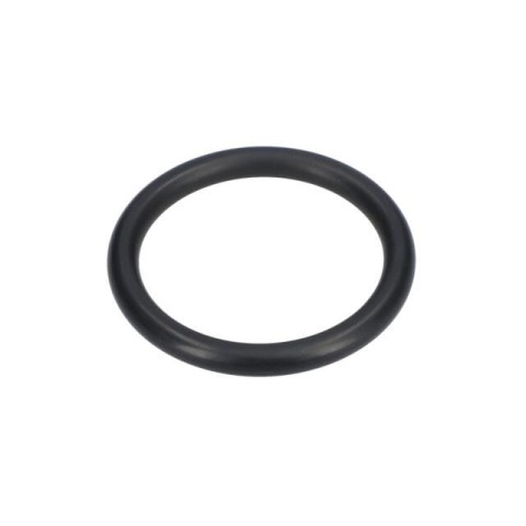 Bosch O-Ring — GBH 10 DCE (1 610 210 132)
