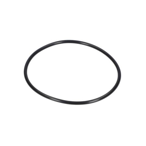 Bosch O-Ring — GSH 16-28 (1 610 210 192)