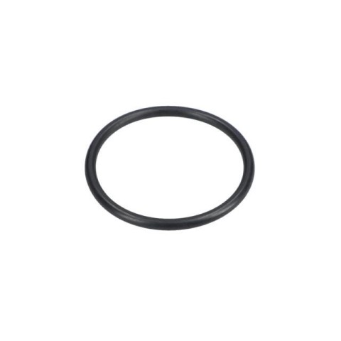 Bosch O-Ring — GBH 4-32 DFR (1 610 210 196)
