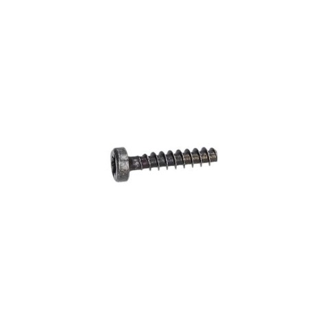 Bosch Torx Mercimek Başlı Vida — GWS 12-125 (1 619 P00 105)