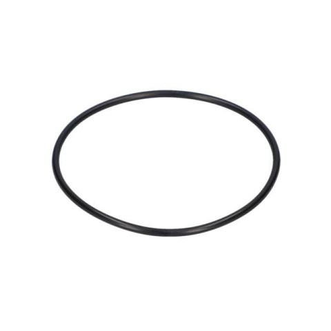 Bosch O-Ring — GSH 27 (1 900 210 166)
