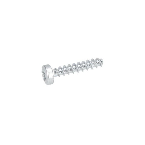 Bosch Torx Mercimek Başlı Vida — GBM 16-2 RE (2 914 201 507)