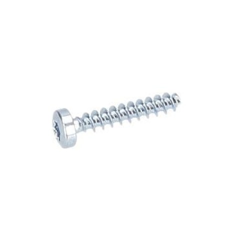 Bosch Torx Mercimek Başlı Vida — GDS 24 (2 914 201 508)