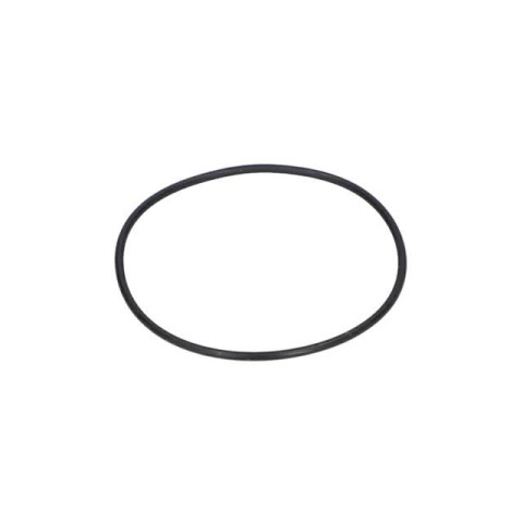 Bosch O-Ring — GWS 8-115 (3 600 210 109)