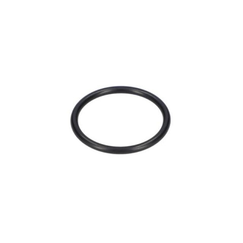 Bosch O-Ring — GFF 22 A (3 609 202 386)