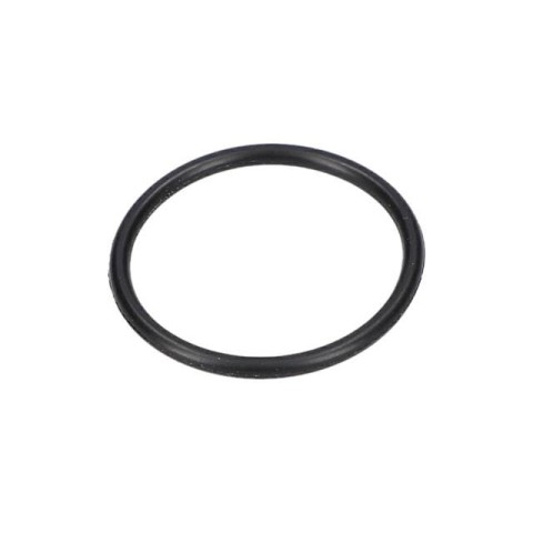 Bosch O-Ring — GDM 13-34 (F 000 640 007)