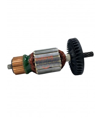 PTS 10  Bosch Tipi Endüvi