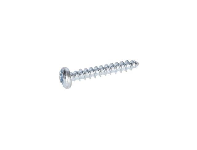 Torx Mercimek Başlı Vida