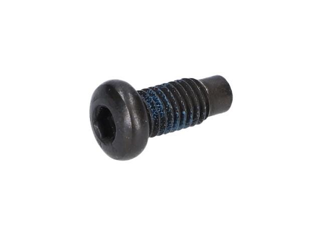 Vida
