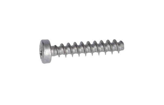 Torx Mercimek Başlı Vida