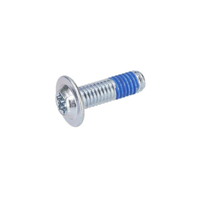Torx Mercimek Başlı Vida