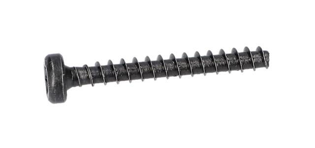 Torx Mercimek Başlı Vida