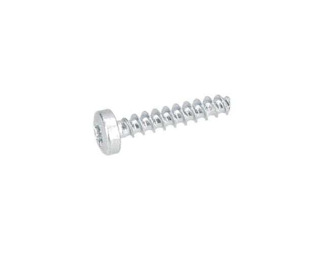 Torx Mercimek Başlı Vida
