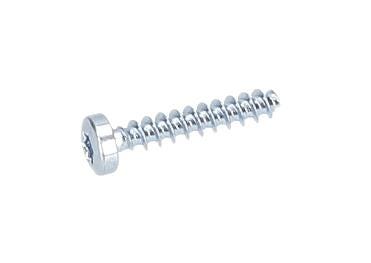 Torx Mercimek Başlı Vida