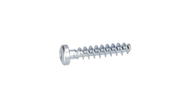 Torx Mercimek Başlı Vida