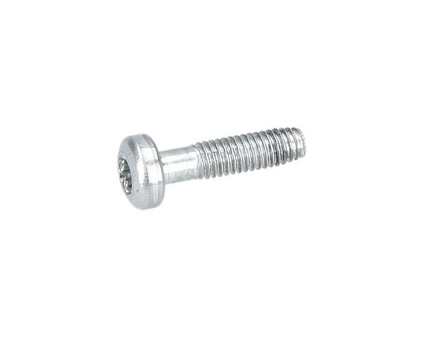 Torx Mercimek Başlı Vida