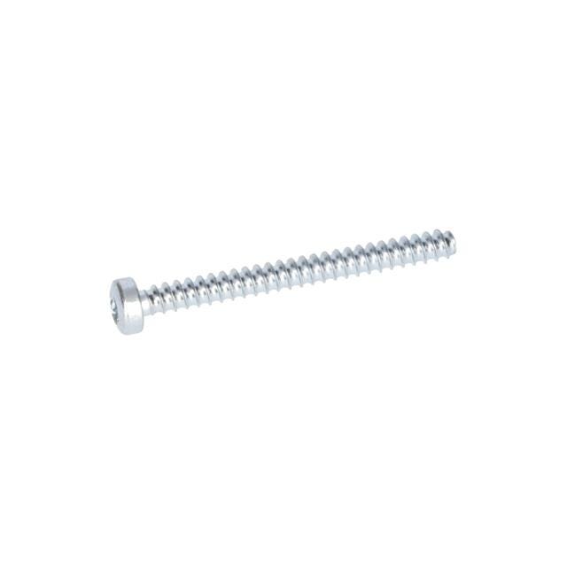 Torx Mercimek Başlı Vida